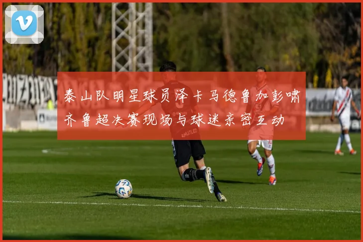 泰山队明星球员泽卡马德鲁加彭啸齐鲁超决赛现场与球迷亲密互动